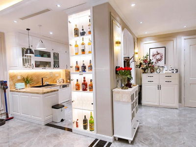 The Artemis Project, Vietnam The Artemis Project, Vietnam