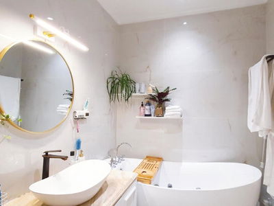 The Artemis Project, Vietnam The Artemis Project, Vietnam