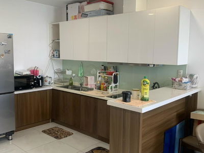 Calla Garden, Vietnam Calla Garden, Vietnam