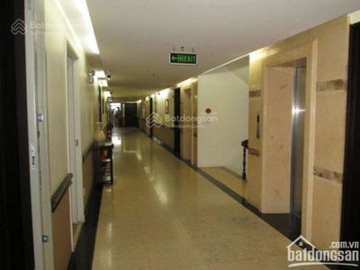 The Golden Dynasty (The Golden Dynasty), Vietnam The Golden Dynasty (The Golden Dynasty), Vietnam