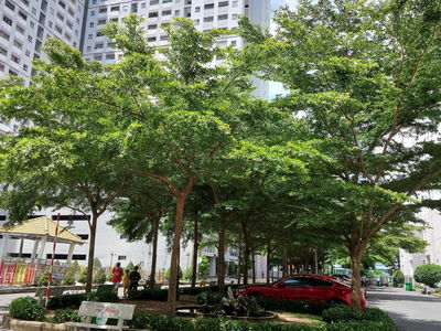 HQC Plaza, Vietnam HQC Plaza, Vietnam