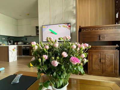 Rivera Park Hanoi Project, Vietnam Rivera Park Hanoi Project, Vietnam