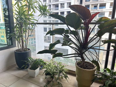 109 Nguyen Tuan, Vietnam 109 Nguyen Tuan, Vietnam