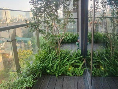 93 Lang Ha, Vietnam 93 Lang Ha, Vietnam