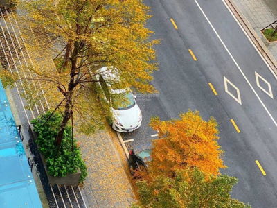 My Dinh Pearl Project, Vietnam My Dinh Pearl Project, Vietnam