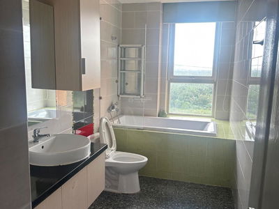 Dragon City, Vietnam Dragon City, Vietnam