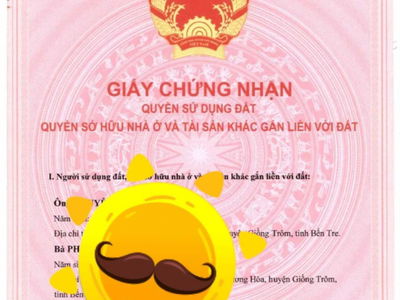 Orchid Park, Vietnam Orchid Park, Vietnam