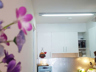 Happy City - Happy Urban Area, Vietnam Happy City - Happy Urban Area, Vietnam