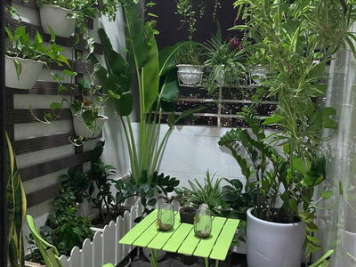 C14 - Ministry of Public Security, Vietnam C14 - Ministry of Public Security, Vietnam