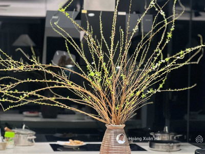 CT15 Viet Hung, Vietnam CT15 Viet Hung, Vietnam