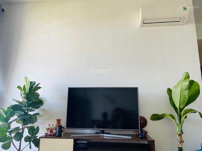 Jamila Khang Dien, Vietnam Jamila Khang Dien, Vietnam