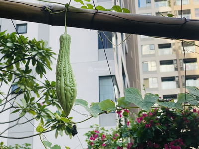 Akari City Nam Long, Vietnam Akari City Nam Long, Vietnam