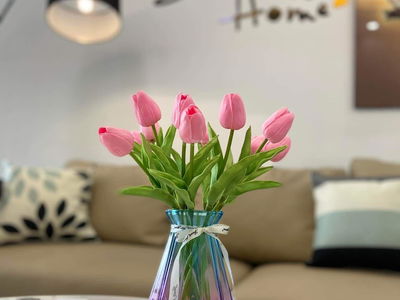 HH2 Linh Dam, Vietnam HH2 Linh Dam, Vietnam