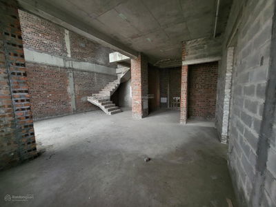 Iris Garden Iris Garden