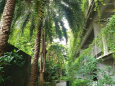 Mulberry Lane Project, Vietnam  Mulberry Lane Project, Vietnam