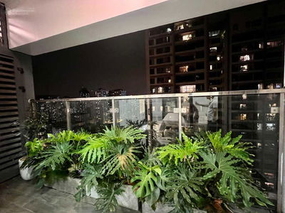 VOV Me Tri Project, Vietnam VOV Me Tri Project, Vietnam