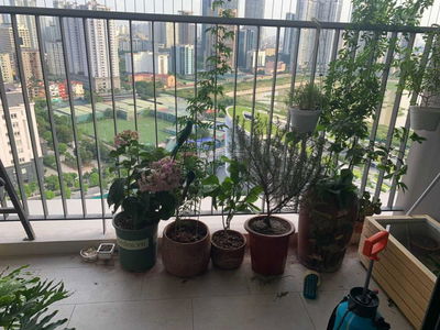 Sky Park Residence Project, Vietnam Sky Park Residence Project, Vietnam