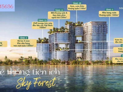 Sky Forest Residences Project, Vietnam Sky Forest Residences Project, Vietnam