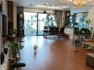 - 71 Nguyen Chi Thanh, Vietnam - 71 Nguyen Chi Thanh, Vietnam