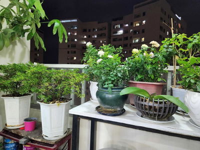 Tecco Town Binh Tan, Vietnam Tecco Town Binh Tan, Vietnam