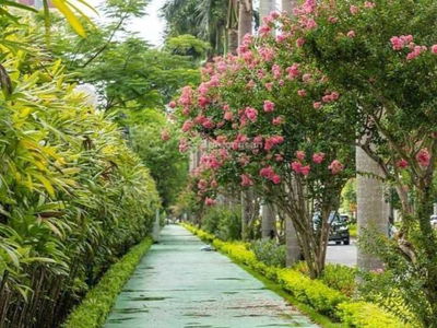 345-CT1, Vietnam 345-CT1, Vietnam