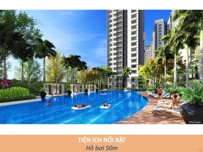 Celesta laughed, Vietnam Celesta laughed, Vietnam