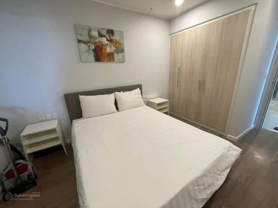 The Artemis Project, Vietnam The Artemis Project, Vietnam