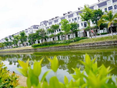 - An Lac Green Symphony, Vietnam  - An Lac Green Symphony, Vietnam