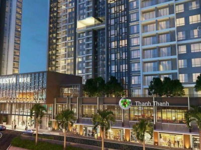 Celesta laughed, Vietnam Celesta laughed, Vietnam