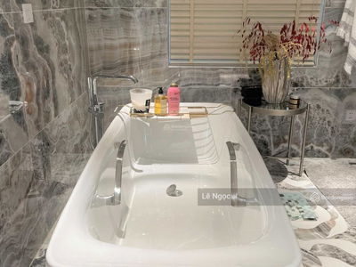 D'. Le Roi Soleil, Vietnam D'. Le Roi Soleil, Vietnam