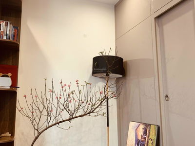 - Vinhomes Smart City, Vietnam - Vinhomes Smart City, Vietnam