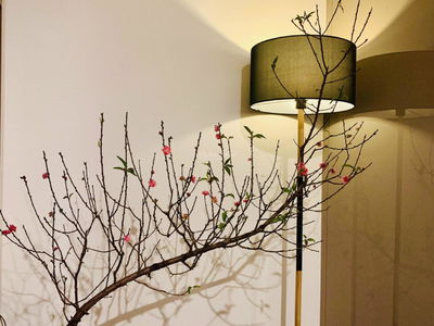 - Vinhomes Smart City, Vietnam - Vinhomes Smart City, Vietnam