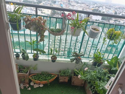 The Avila, Vietnam The Avila, Vietnam