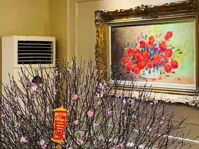 Dolphin Plaza Project, Vietnam Dolphin Plaza Project, Vietnam