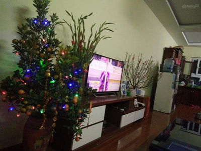 Dai Thanh Project, Vietnam Dai Thanh Project, Vietnam