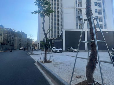 Feliz Homes Project, Vietnam Feliz Homes Project, Vietnam