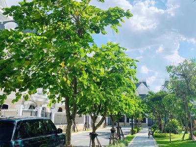 Victoria Village, Vietnam Victoria Village, Vietnam