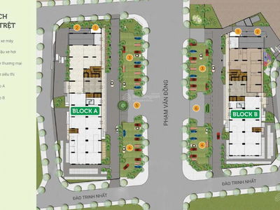 Flora Bride, Vietnam Flora Bride, Vietnam