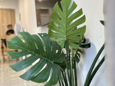 Celadon City, Vietnam Celadon City, Vietnam