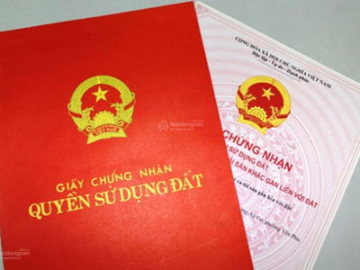 Green View, Vietnam Green View, Vietnam