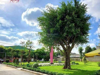 Iris Tower Project, Vietnam Iris Tower Project, Vietnam