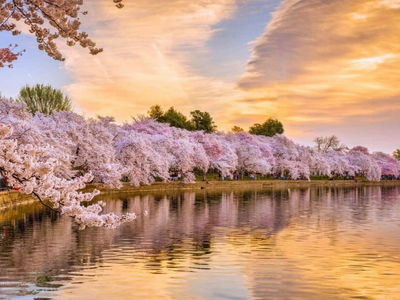 Swan Lake Onsen Project, Vietnam Swan Lake Onsen Project, Vietnam