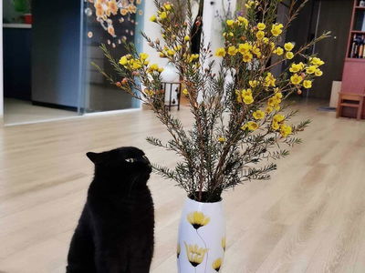 Imperial Plaza Project, Vietnam Imperial Plaza Project, Vietnam