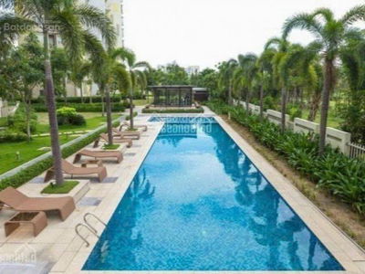 The Canary Project, Vietnam The Canary Project, Vietnam