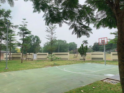 The Canary Project, Vietnam The Canary Project, Vietnam