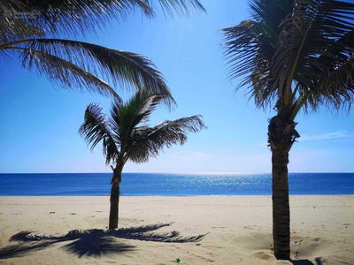 The Ocean Suites Quy Nhon Project, Vietnam The Ocean Suites Quy Nhon Project, Vietnam