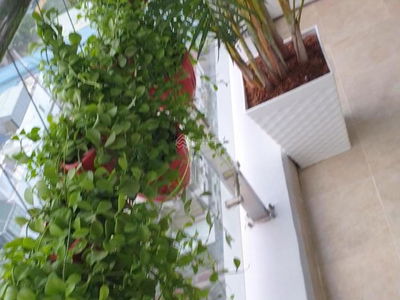 Topaz Garden, Vietnam Topaz Garden, Vietnam