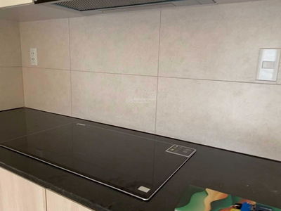 The Dragon Castle Project, Vietnam  The Dragon Castle Project, Vietnam