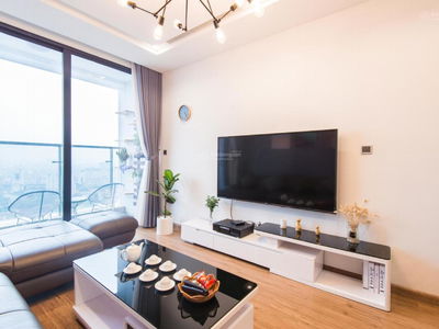 The Artemis Project, Vietnam The Artemis Project, Vietnam