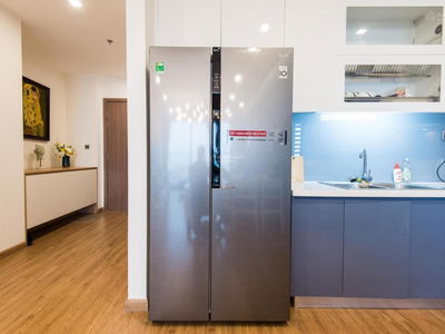 The Artemis Project, Vietnam The Artemis Project, Vietnam